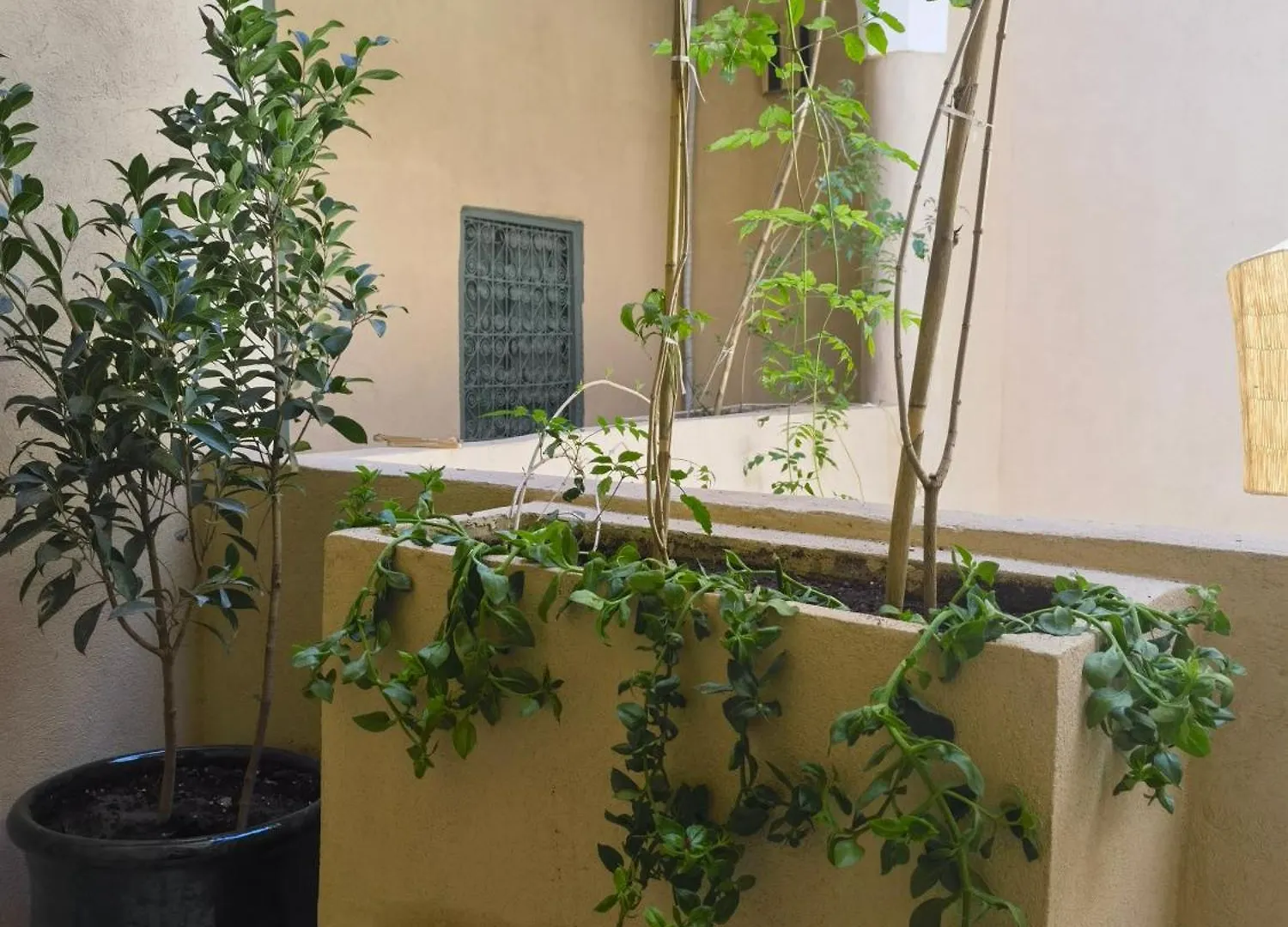 Medina Oasis Hostel Marrakesch